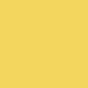 The Colourines amarillo canario