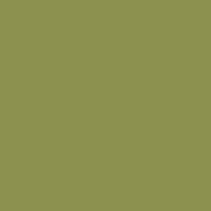 The Colourines verde musgo