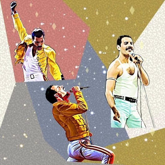 Comunismo alineación Rezumar Tela del cantante Freddie Mercury en algodón - Komola Krafts