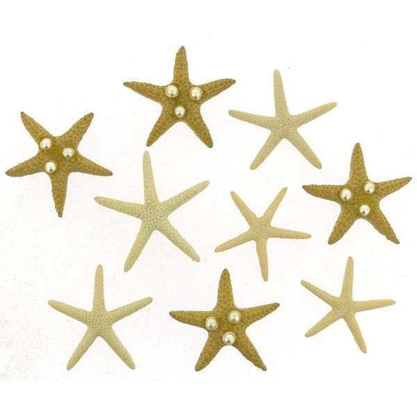 starfish wishes