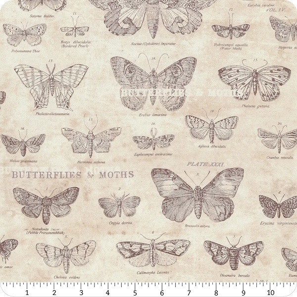 tela butterflies