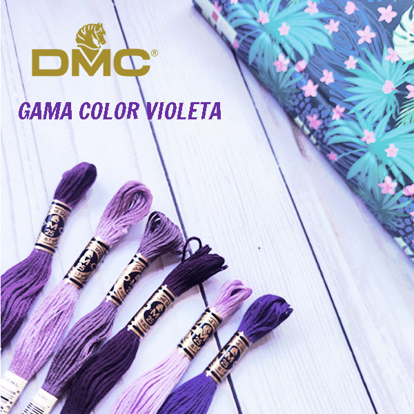 DMC Mouliné Gama Violeta